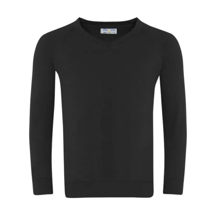 Classic V-Neck Sweatshirt Thumbnail